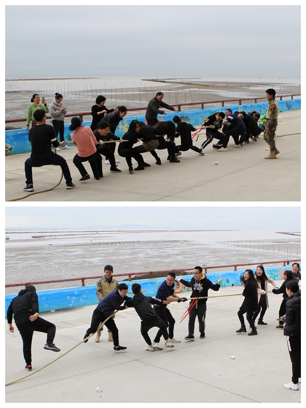 拔河600.jpg